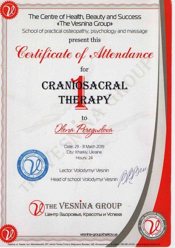 Сертификат центра здоровья красоты и успеха The Vesnina Group 2